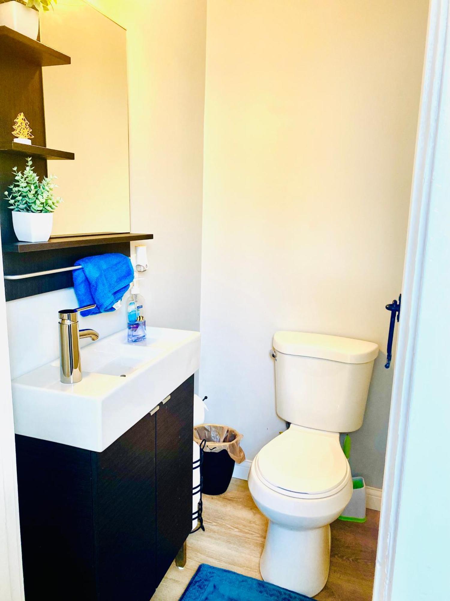 Covington,ky Proximity To Cincinnati,historical Apartment *